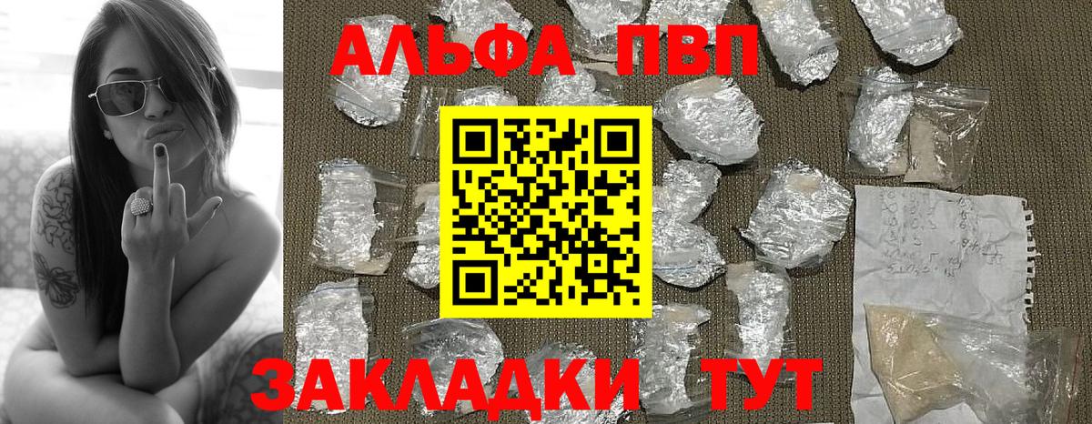 A PVP СК КРИС Бийск