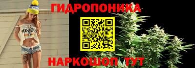 стафф Аргун