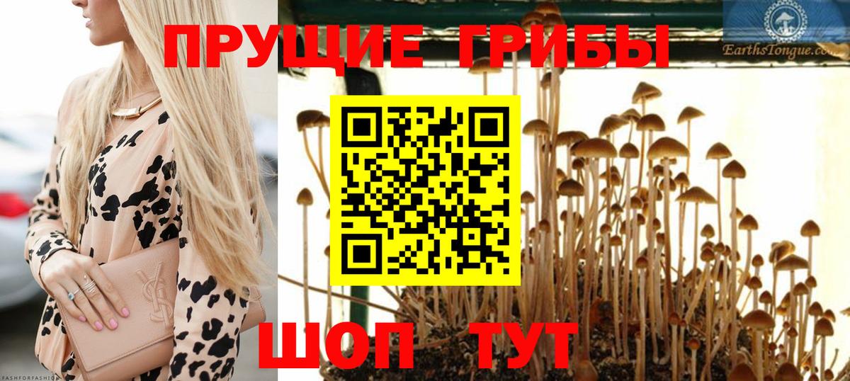 Alpha PVP Бийск