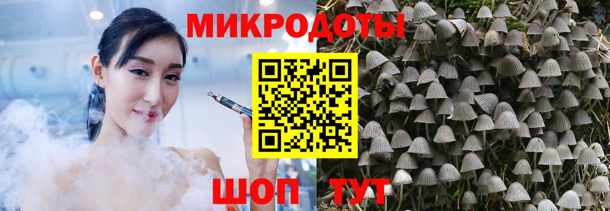 Галлюциногенные грибы GOLDEN TEACHER  Вход с VPN  дарнет шоп  Бийск  Псилоцибиновые грибы Magic Shrooms 